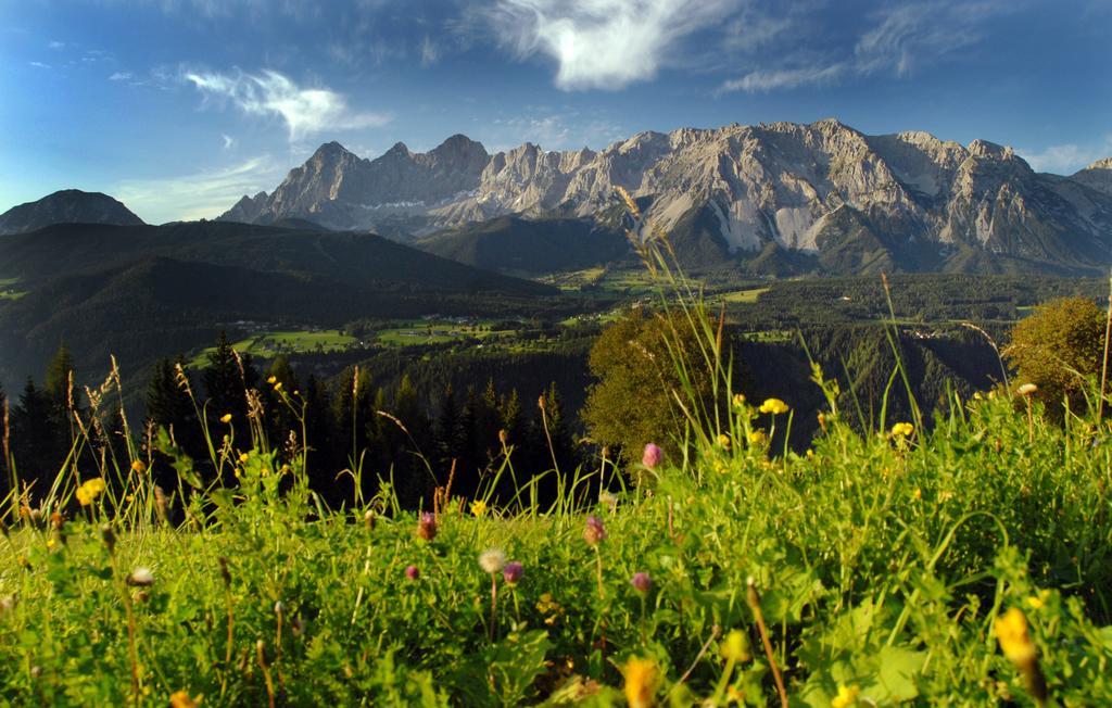 Apartment Oesterreich Ramsau am Dachstein Habitación foto